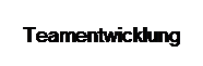 Textfeld: Teamentwicklung